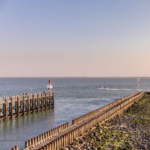 Roompot Strandpark Zeeland - Camping Vlissingen - Afbeelding N°5