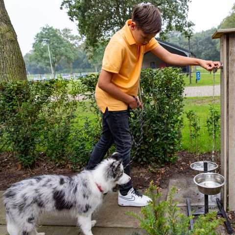 Buitengoed Erve Raewyck - Camping Hardenberg - Afbeelding N°2