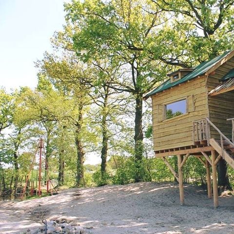 UNIEKE ACCOMMODATIE 6 personen - Boomhut