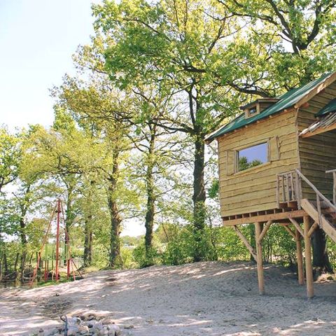 Accommodatie 6 personen - Boomhut