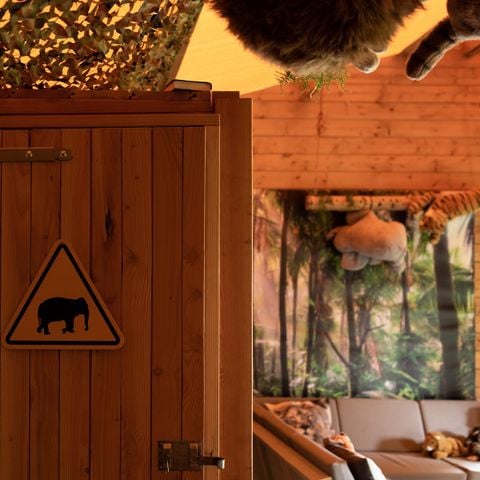 Bungalowtent 6 personen - Bungalowtent Junglehuisje