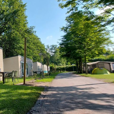 Chalet 6 personen - Chalet type F