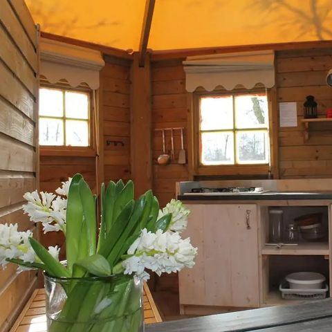 Bungalow 6 personen - Zweedse tenthuisjes