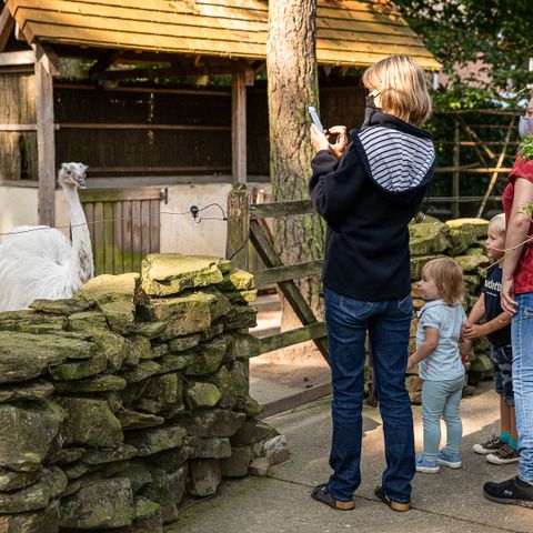 Familiepark Goolderheide - Camping Belgisch Limburg - Afbeelding N°6