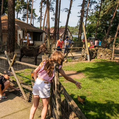 Familiepark Goolderheide - Camping Belgisch Limburg - Afbeelding N°5