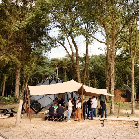 Roodewoud - Camping Aa und Hunze - Afbeelding N°3