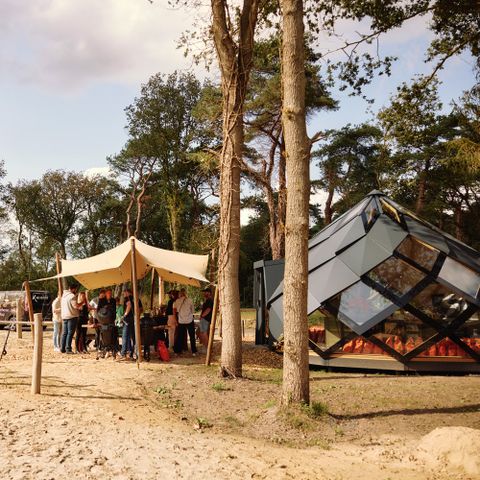 Roodewoud - Camping Aa und Hunze - Afbeelding N°2