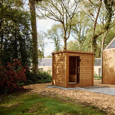 Roodewoud - Aa en Hunze - Afbeelding N°6