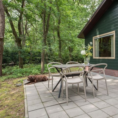 Bungalow 4 personen - Blauwe Pauw