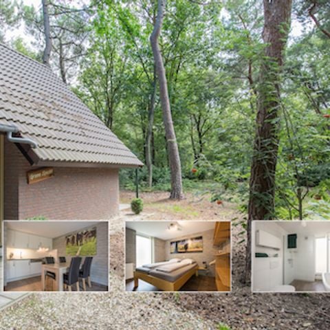 Bungalow 4 personen - Groene Specht
