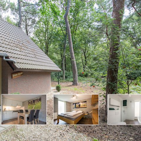Bungalow 4 personen - Groene Specht