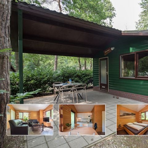Bungalow 4 personen - Staartmees