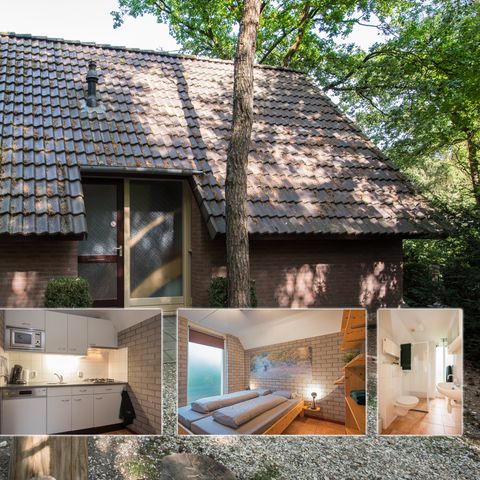 Lodge 4 personen - Plus