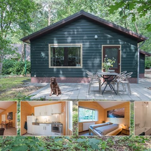 Bungalow 4 personen - Holiday Home Plus