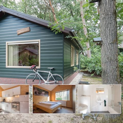 Bungalow 4 personen - Holiday Home Plus