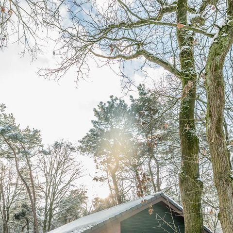 Villa 4 personen - All Electric