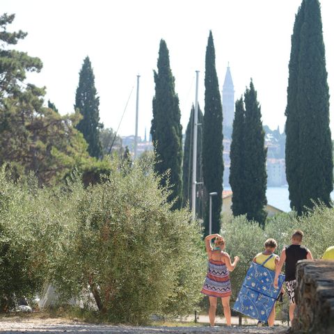 Camping Porton Biondi - Camping Istrië - Afbeelding N°5