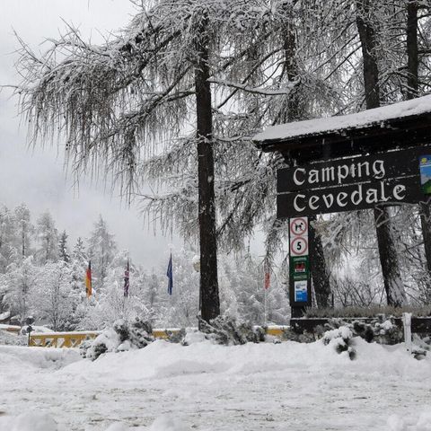 Camping Cevedale - Camping Trente - Afbeelding N°2