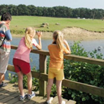 Vakantieparken bij Beekse Bergen