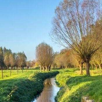 Vakantieparken in Limburg