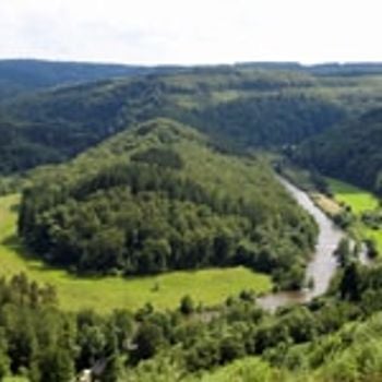 Bungalows Belgische Ardennen