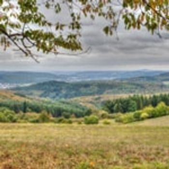 Bungalows in het Sauerland