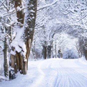 Alle Duitse parken in wintersportgebied