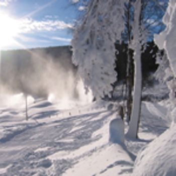 Alle Franse parken in wintersportgebied