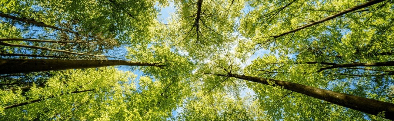 Voorjaarsvakantie 2027