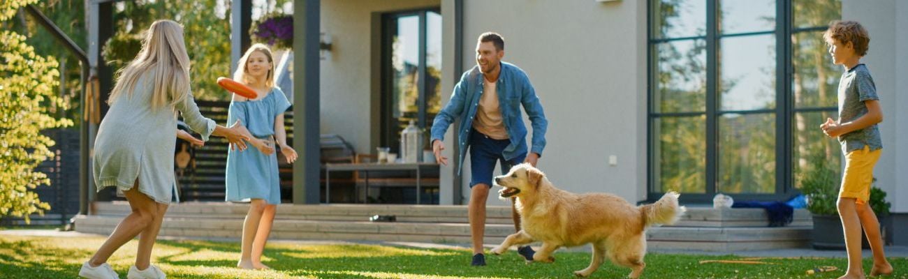 Vakantie met hond en omheinde tuin