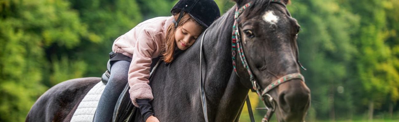 Nabij een manege