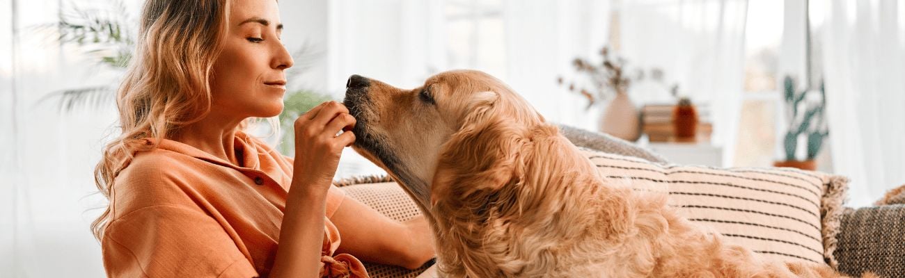 Vakantie met hond
