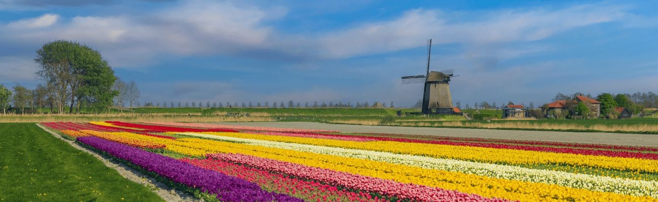 Vakantie in Noord-Holland