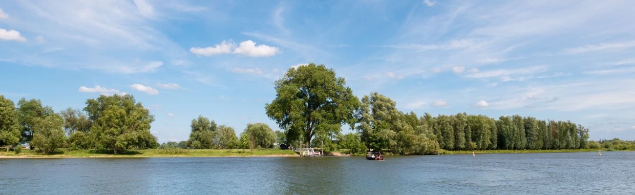Vakantieparken in Maasland