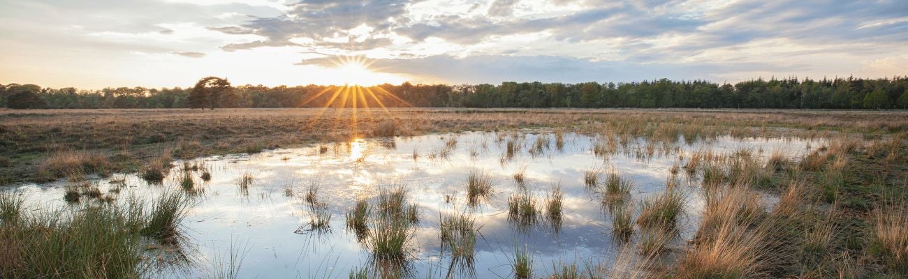 Vakantieparken op de Utrechtse Heuvelrug