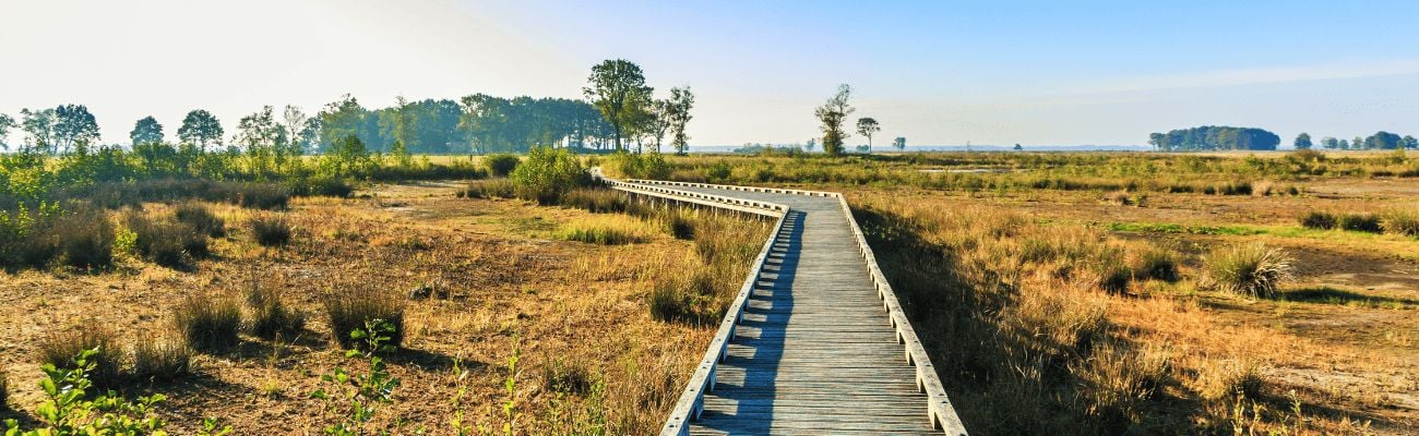 Vakantieparken in het Dwingelderveld