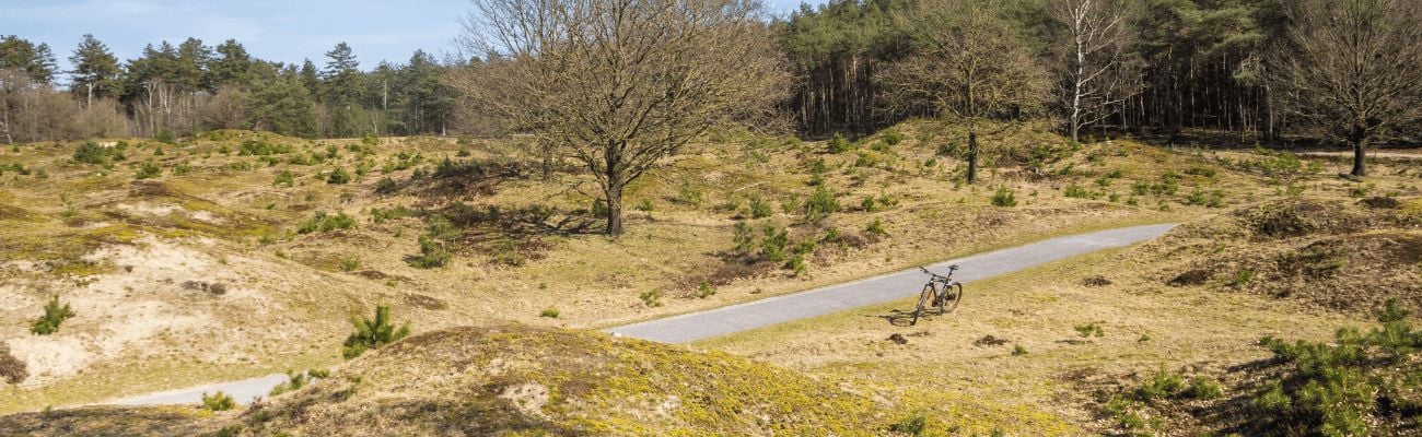 Vakantieparken in het Drents-Friese Wold