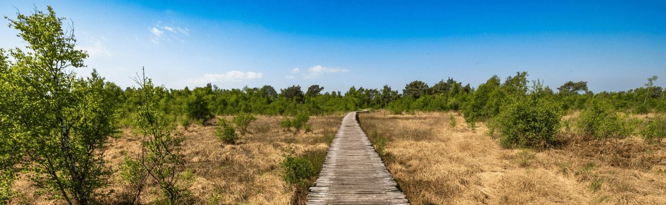 Vakantieparken in De Peel