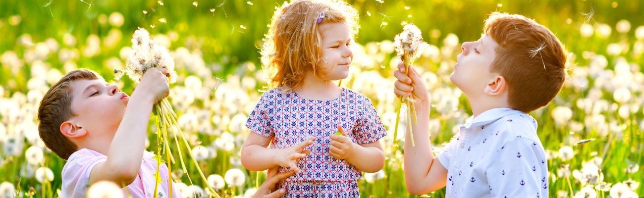 Lente Sale