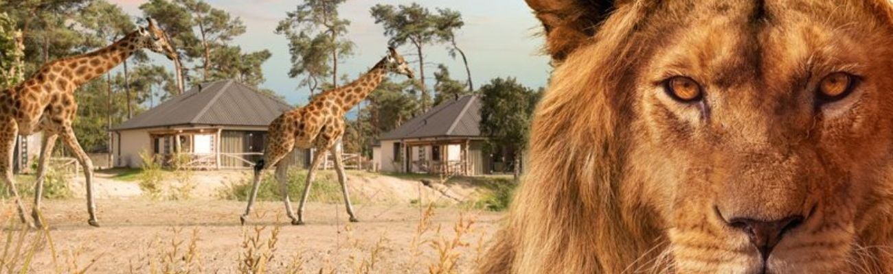 Goedkoop vakantiehuis bij Beekse Bergen