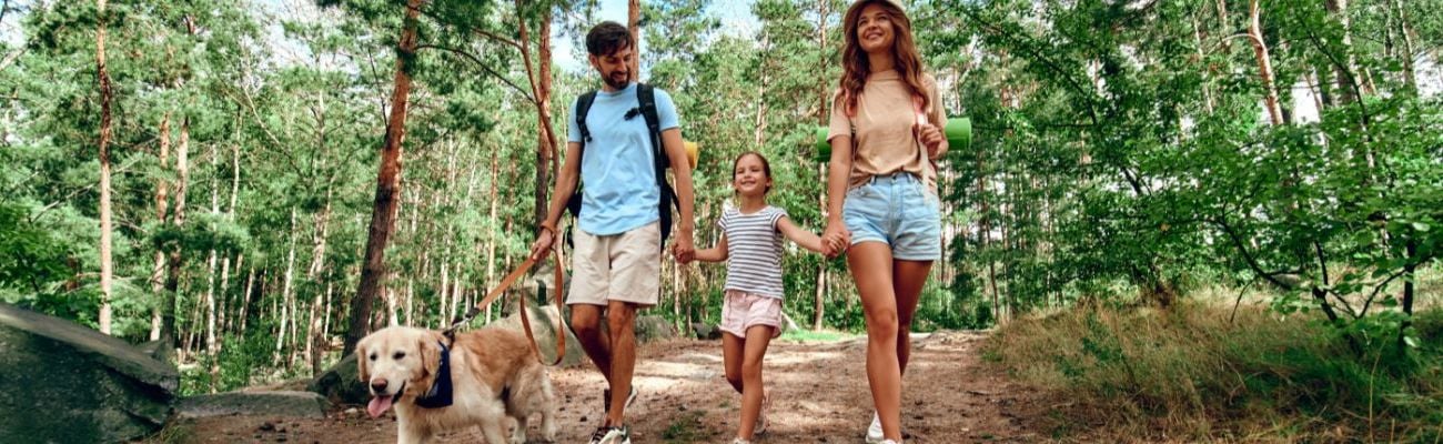 Vuurwerkvrije vakantieparken in Duitsland