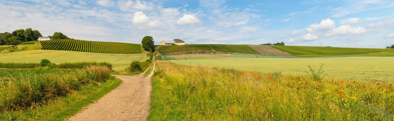 Camping in Zuid-Limburg