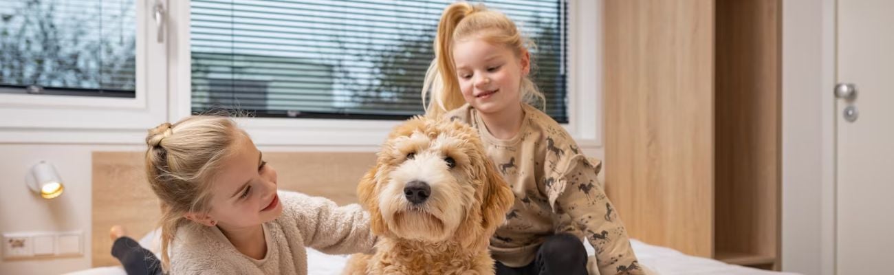 Roompot met hond