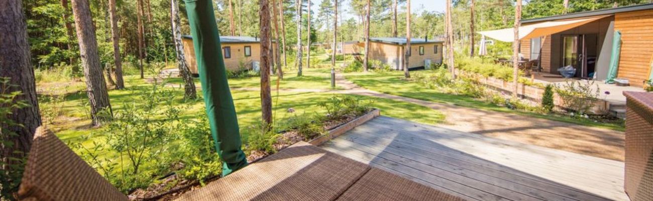 Luxe bungalowpark met subtropisch zwembad