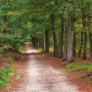 Vakantieparken in Beekbergen