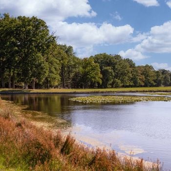 Vakantieparken in Hoenderloo