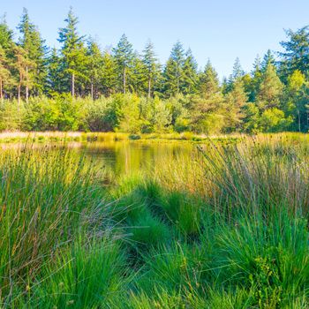Vakantieparken in Voorthuizen