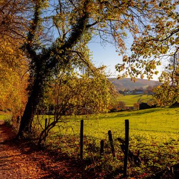 Alle vakantieparken in Zuid-Limburg