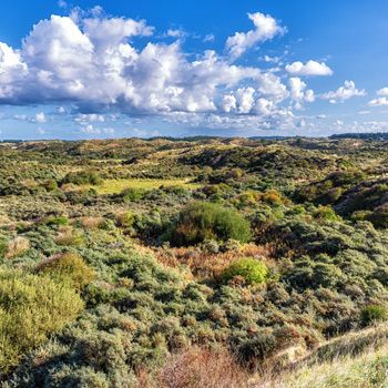 Vakantieparken in Zandvoort
