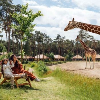 Vakantieparken in Hilvarenbeek